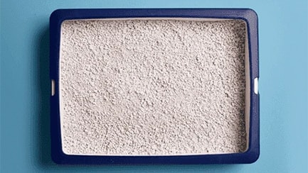 Clumping cat litter versus non-clumping cat litter: The scoop