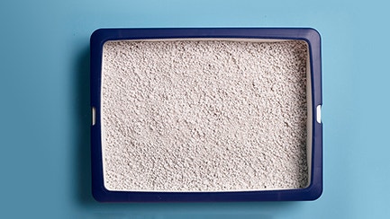 Lettiera agglomerante o lettiera non agglomerante? Questo è il dilemma!