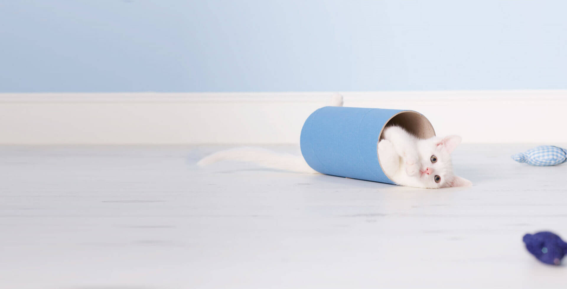 Gattino sdraiato in cilindro blu